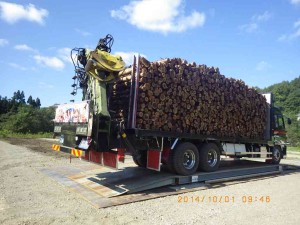 トラックスケールで計量中